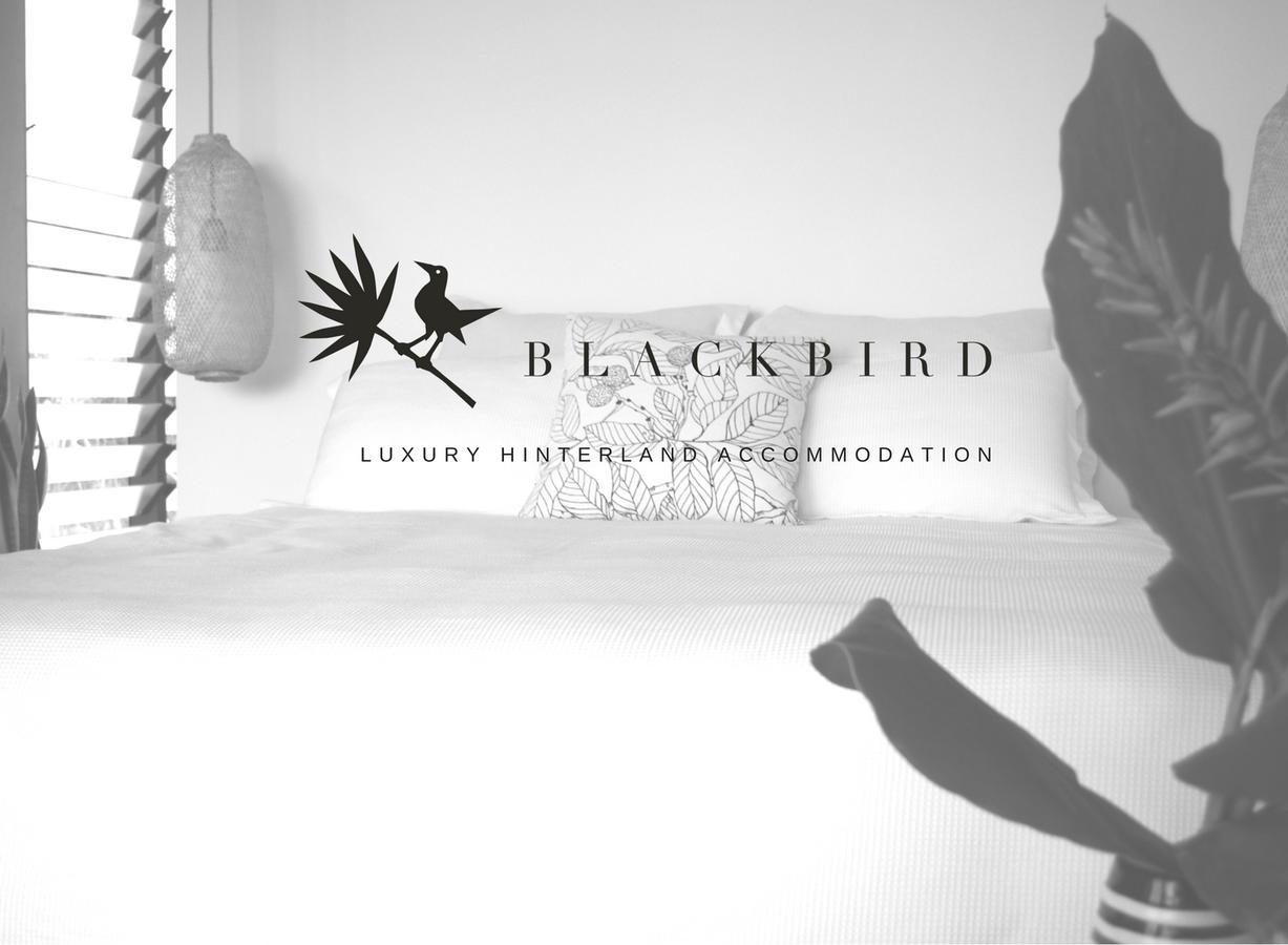 Blackbird Luxury Accommodation 穆伦宾比 外观 照片