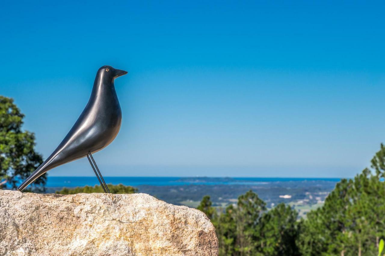 Blackbird Luxury Accommodation 穆伦宾比 外观 照片